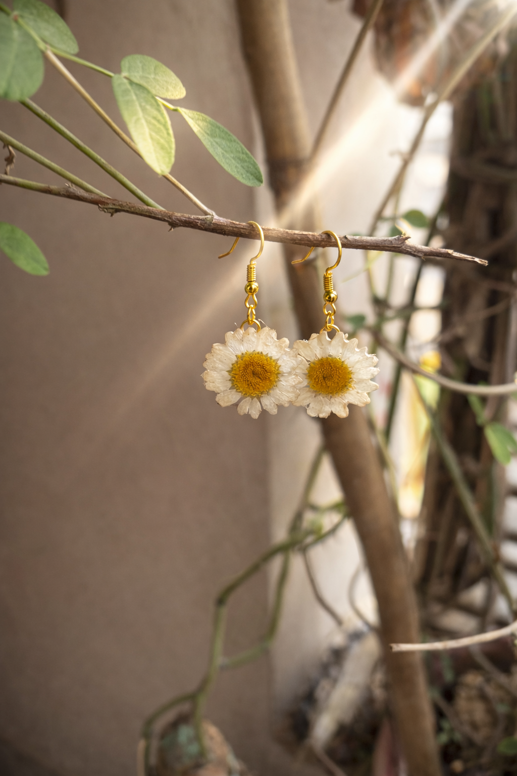 Sun-Kissed Daisy Earrings